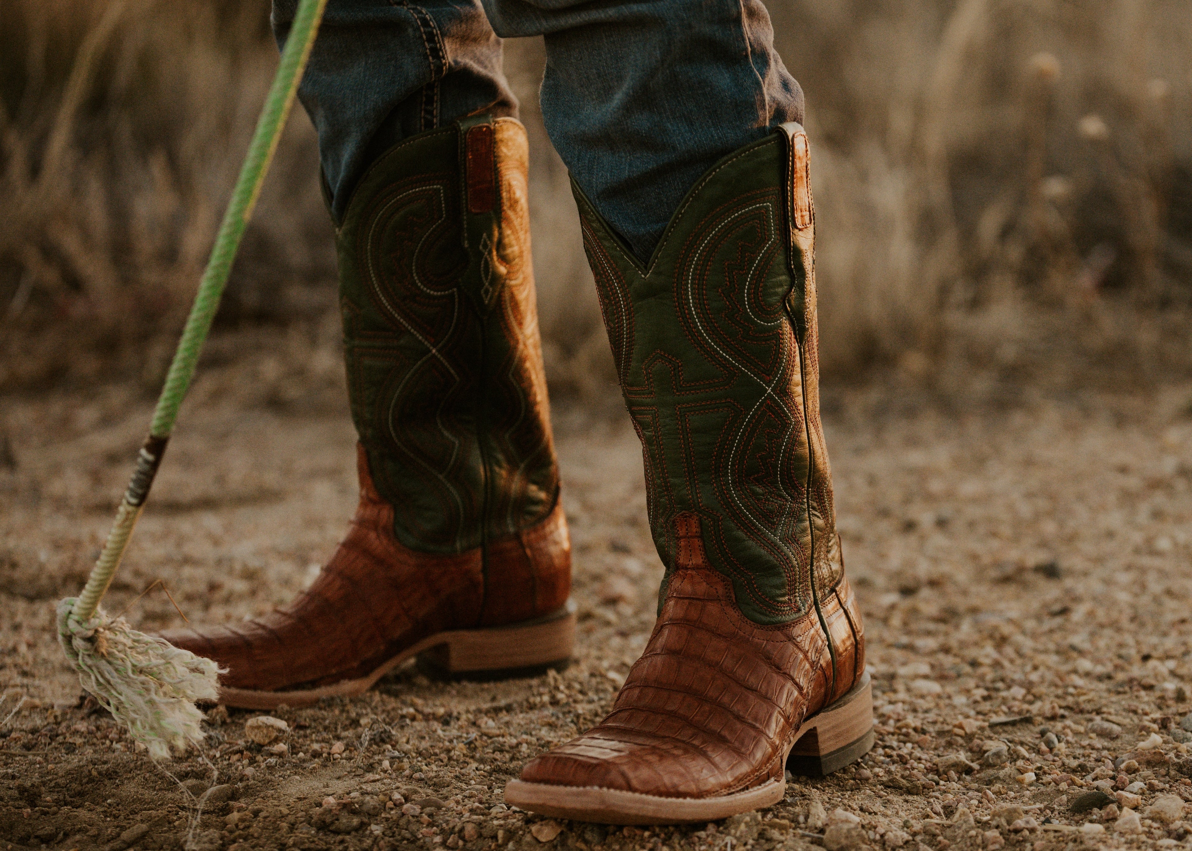 Caiman Collection