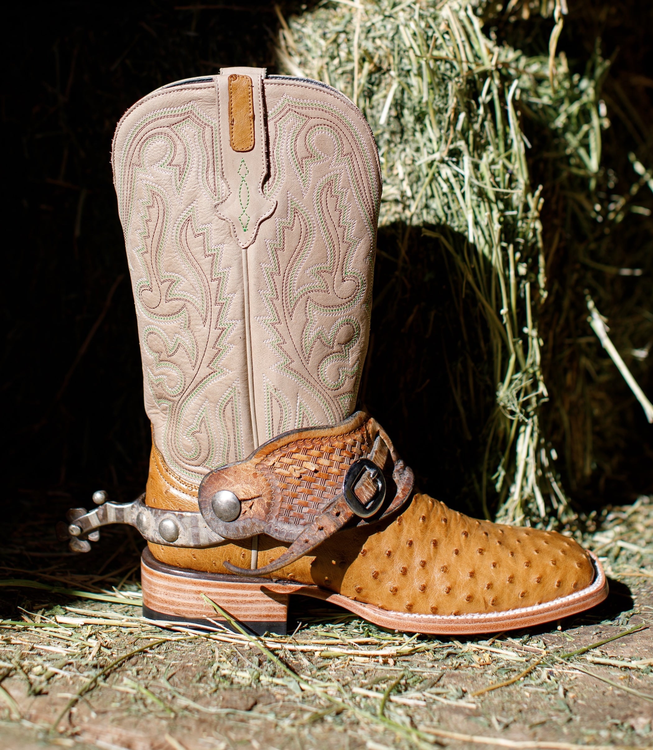 Ostrich Collection