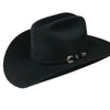 Stetson Skyline