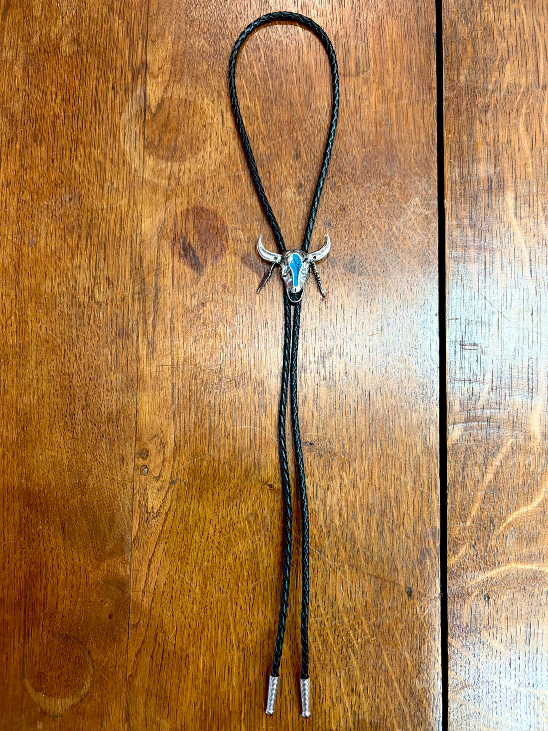 Cow Skull with Feather Bolo