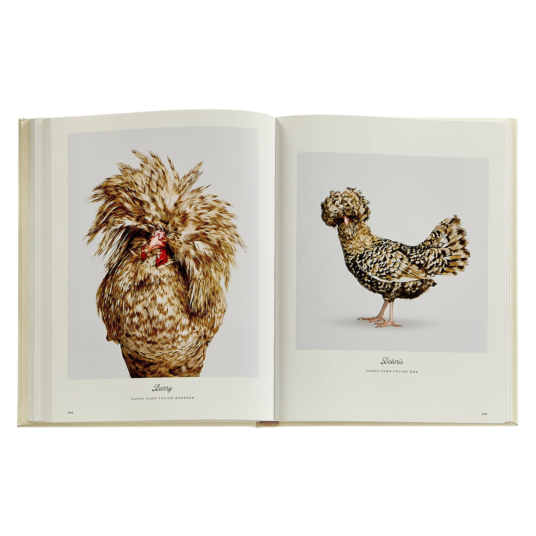 Farm Life: A Collection of Animal Portraits by Randal Ford