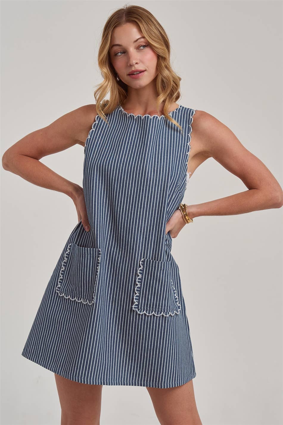 Sleeveless Stripe Denim Mini Dress With Scalloped Embroidery