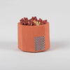 Concrete Match Holder – Modern Brights with 2-Inch Safety Matches
