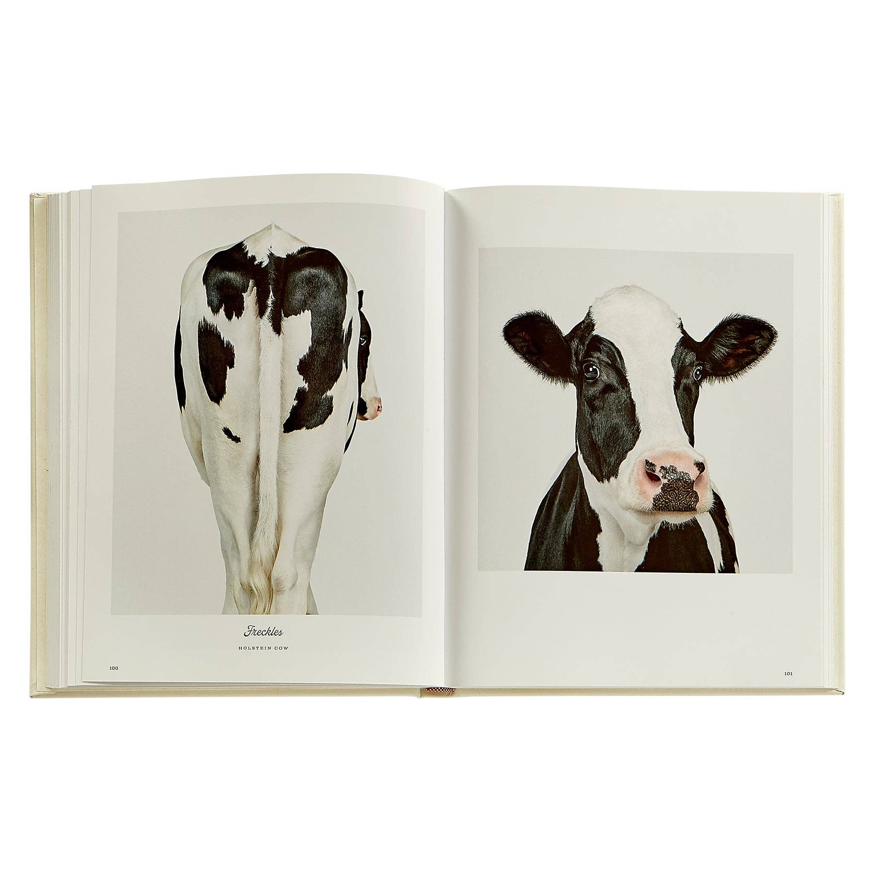 Farm Life: A Collection of Animal Portraits by Randal Ford