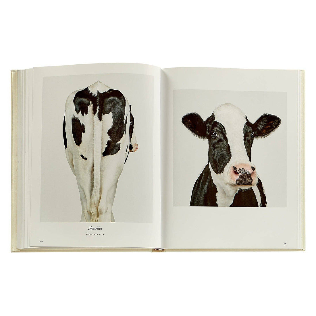 Farm Life: A Collection of Animal Portraits by Randal Ford