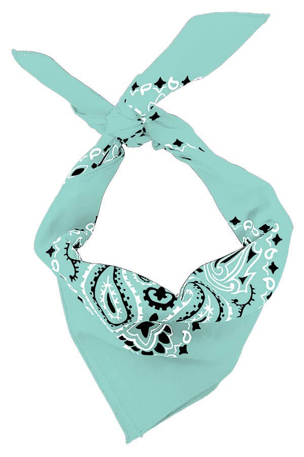 Bandanna - 22" MADE IN USA - Mint Paisley