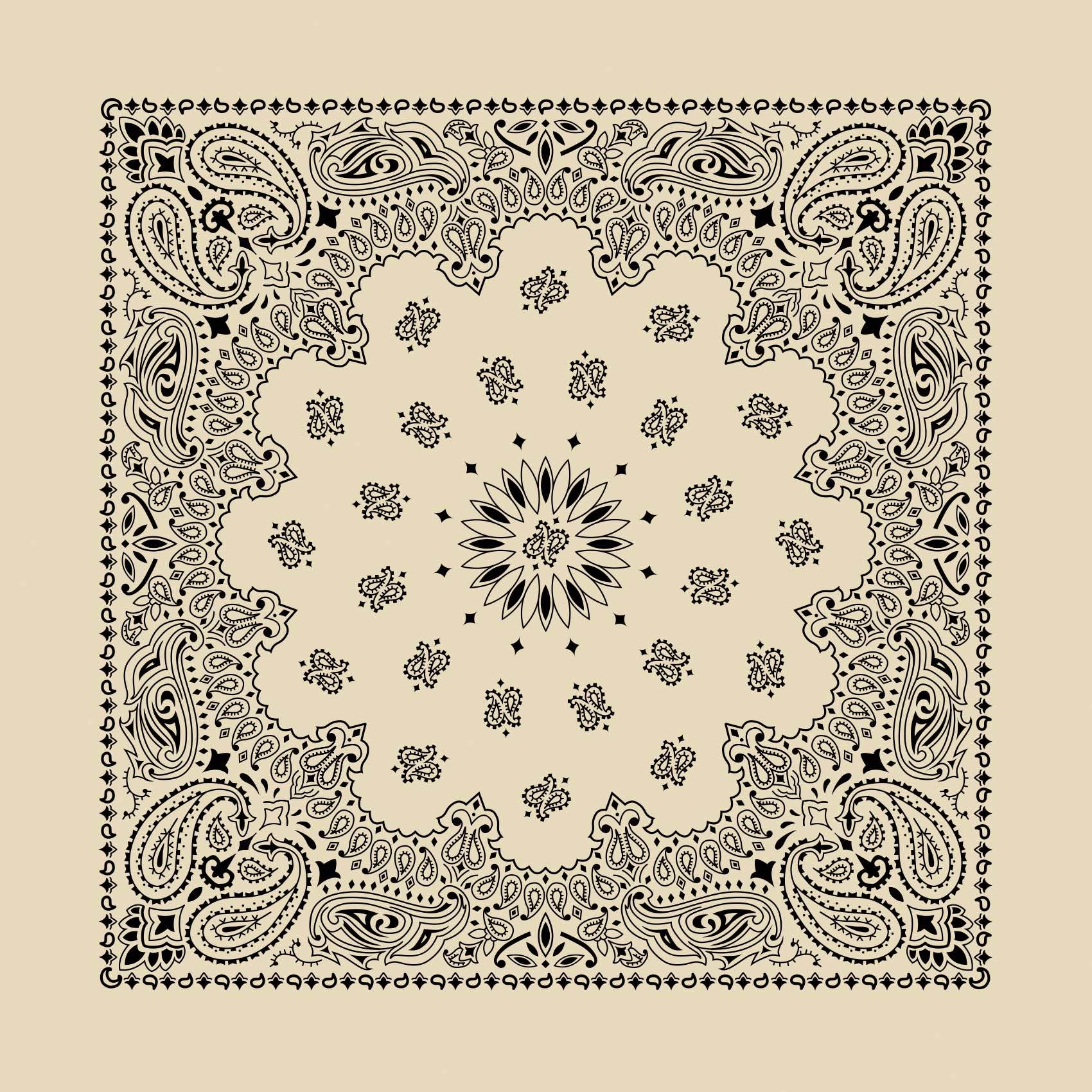 Bandanna - 22" MADE IN USA - Contemporary Natural Paisley