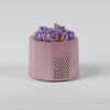 Concrete Match Holder – Modern Brights with 2-Inch Safety Matches