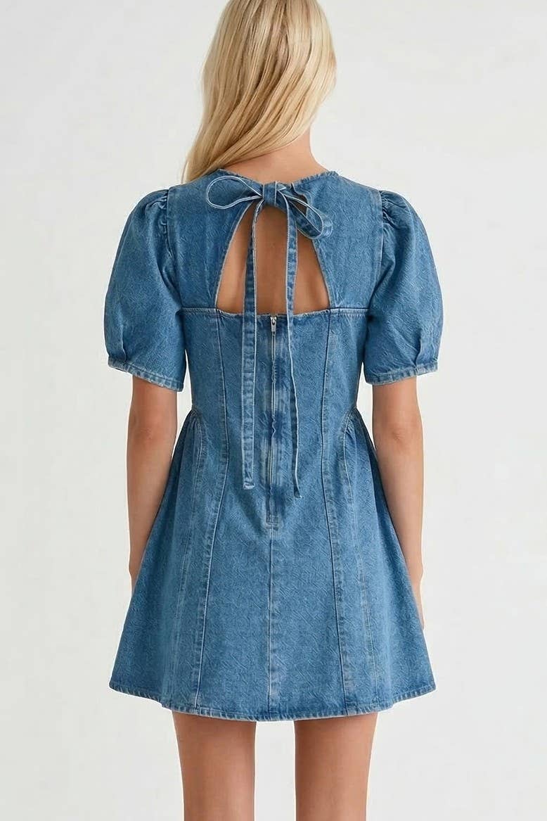 Rigid Denim Aline Mini Dress