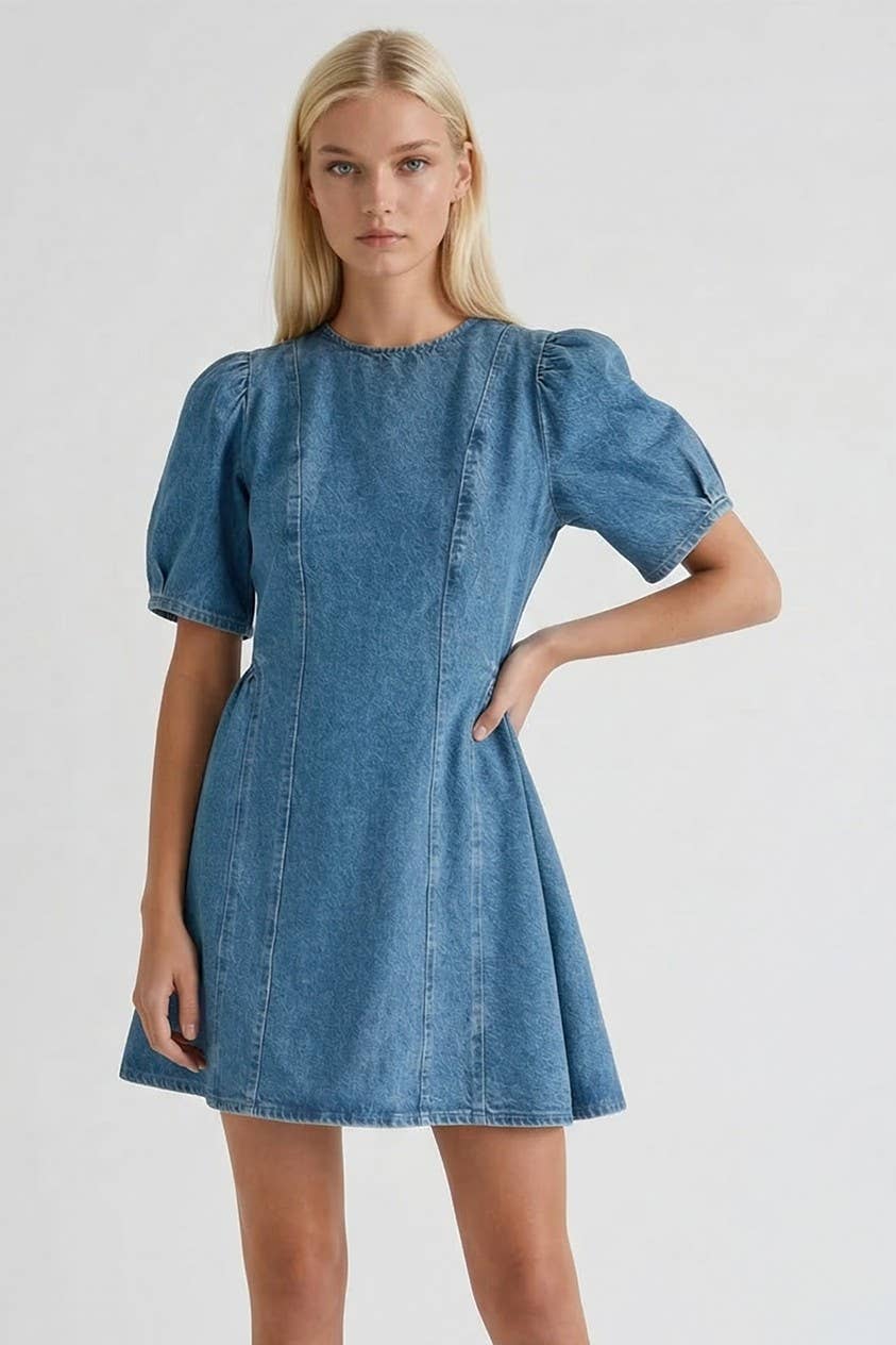 Rigid Denim Aline Mini Dress