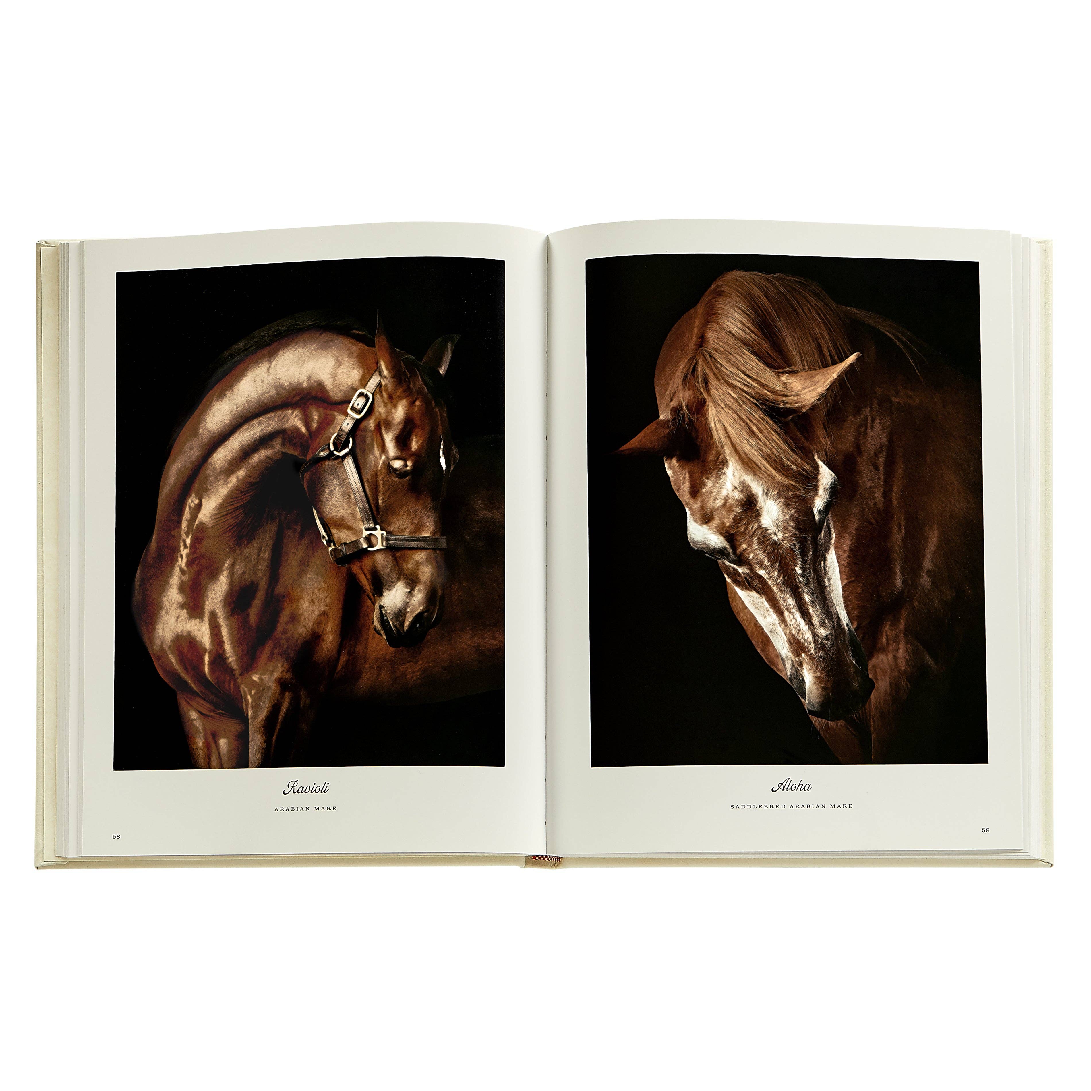 Farm Life: A Collection of Animal Portraits by Randal Ford