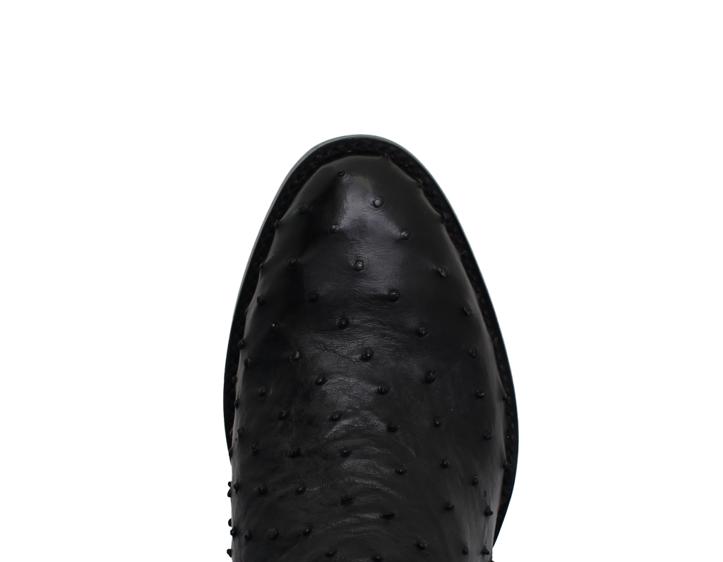Full Quill Ostrich Black - Round Toe