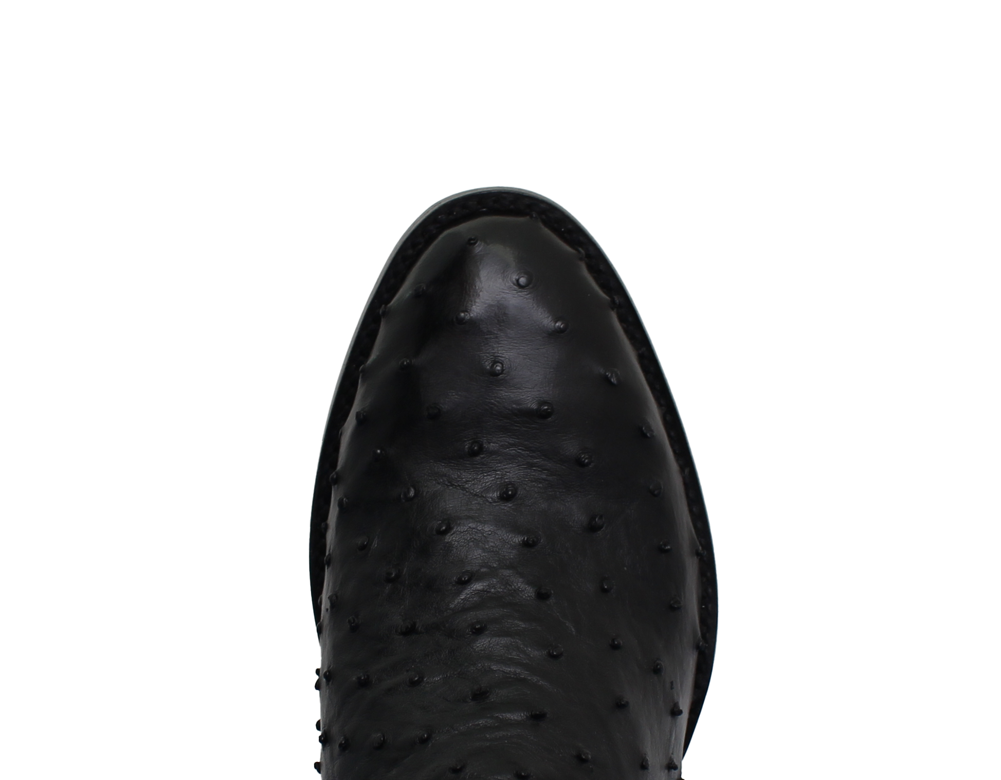 Full Quill Ostrich Black - Round Toe