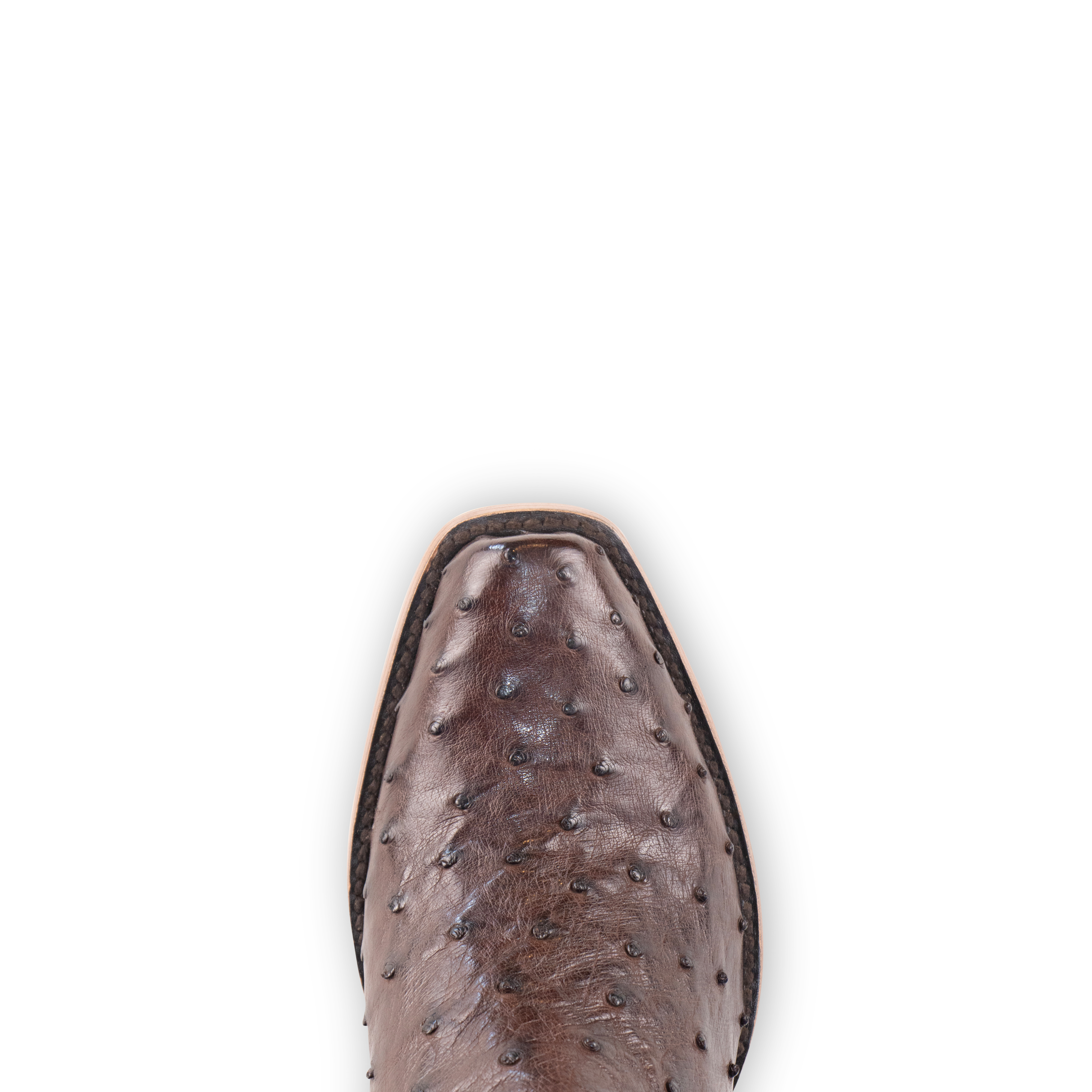 Resistol Boots Brown Gold Full Quill Ostrich Cutter Toe