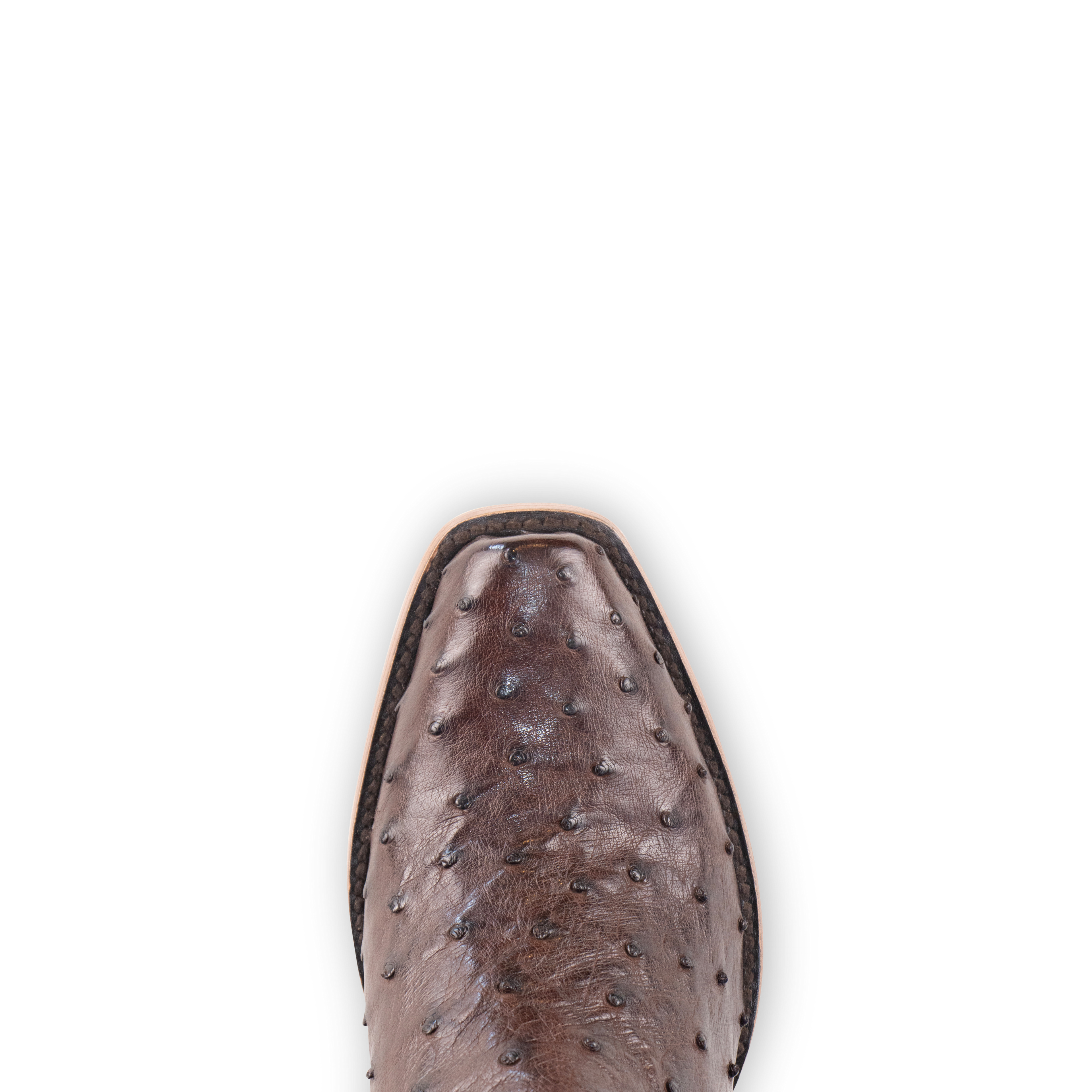 Full Quill Ostrich Brown - Cutter Toe