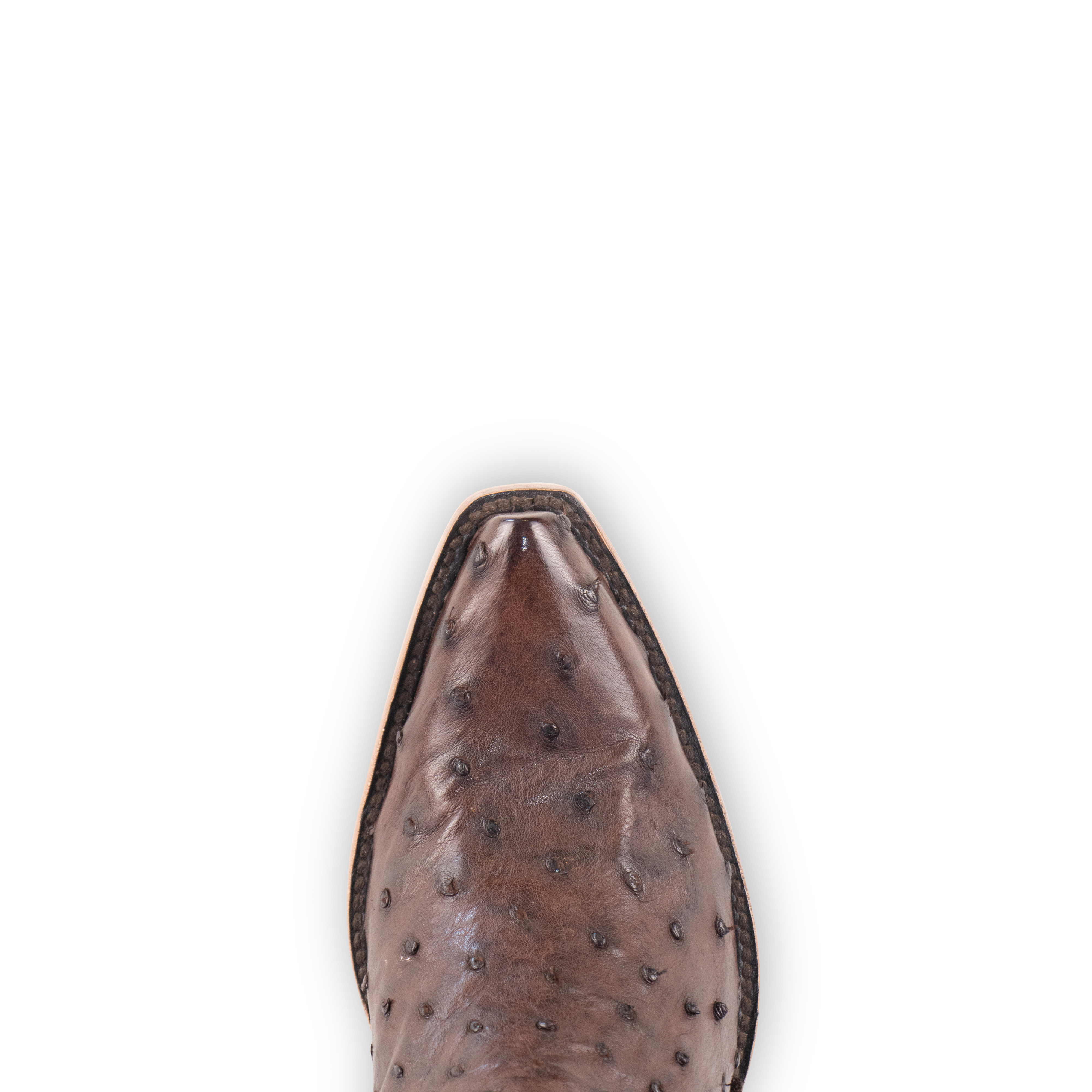 Resistol Boots Brown Gold Full Quill Ostrich - Pointed Toe