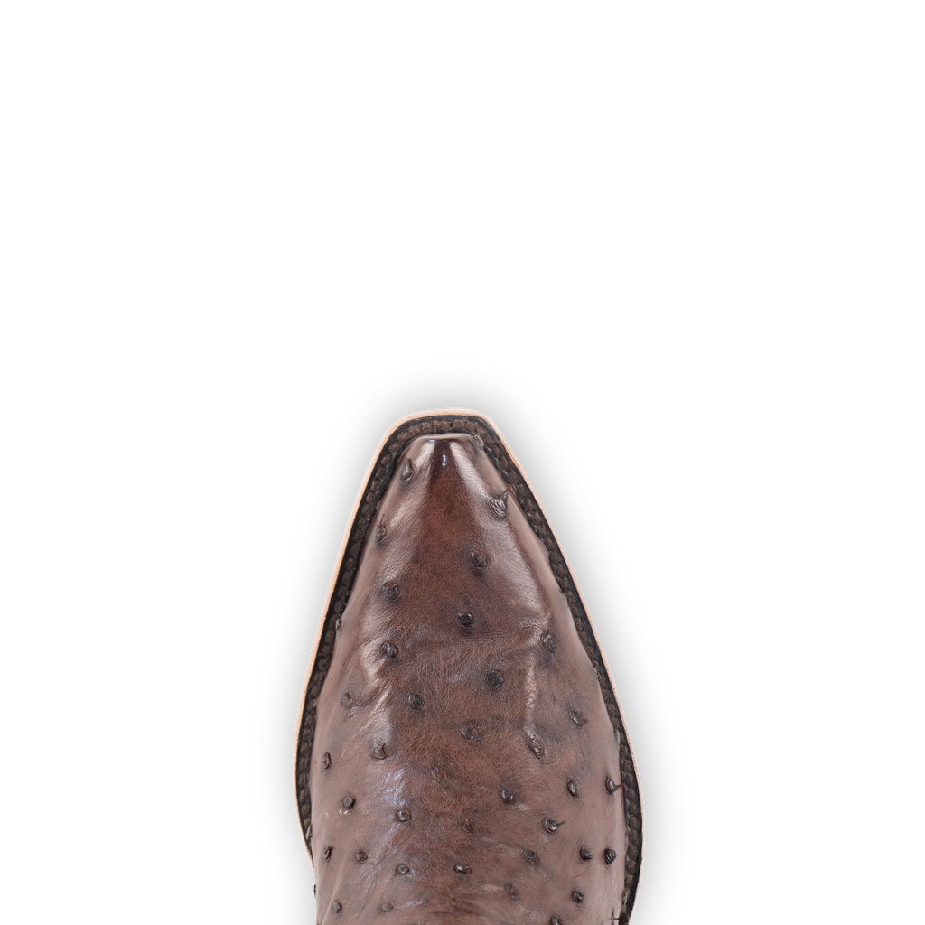 Full Quill Ostrich Brown - Pointed Toe