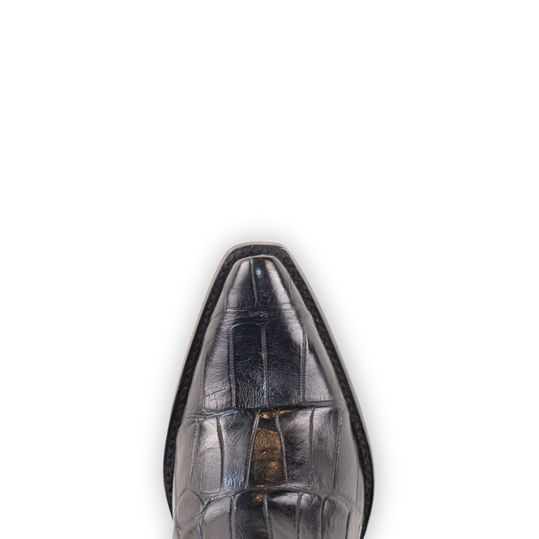 Alligator Black - Pointed Toe