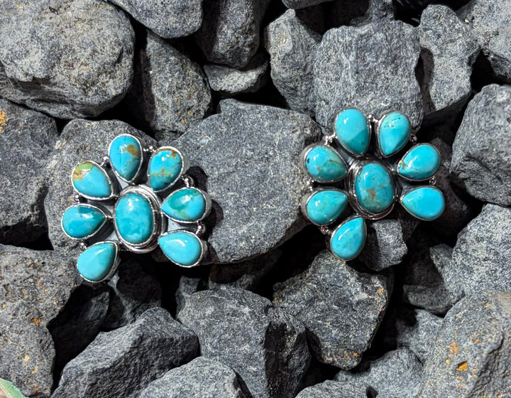 Turquoise Horseshoe Earrings