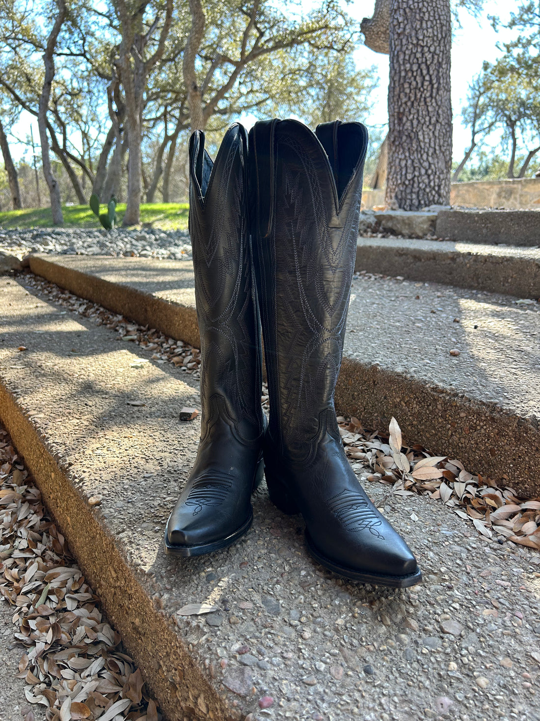 Black Harman - Pointed Toe