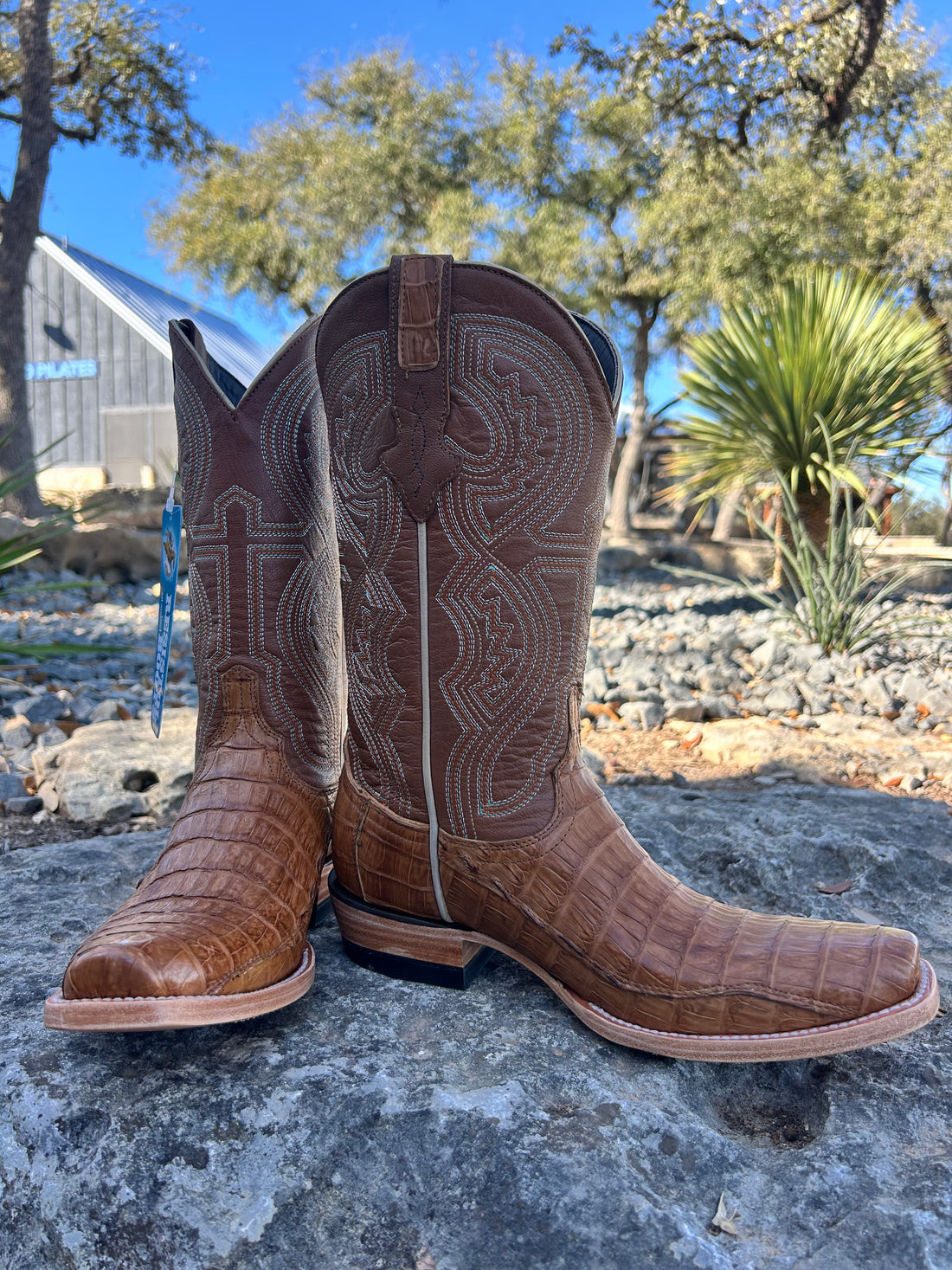 Resistol Boots Tan Caiman - Cutter Toe