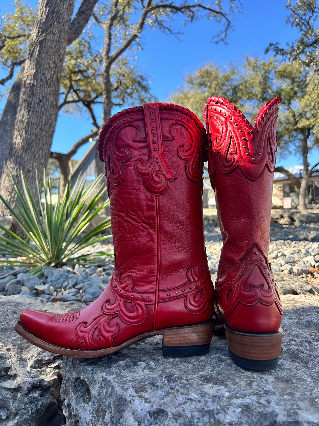 Azulado Red Jersey Cowhide