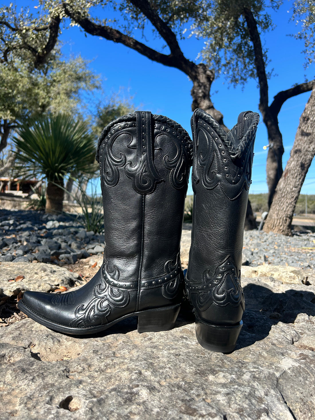 Azulado Boots - Black Jersey Cowhide - Snip Toe