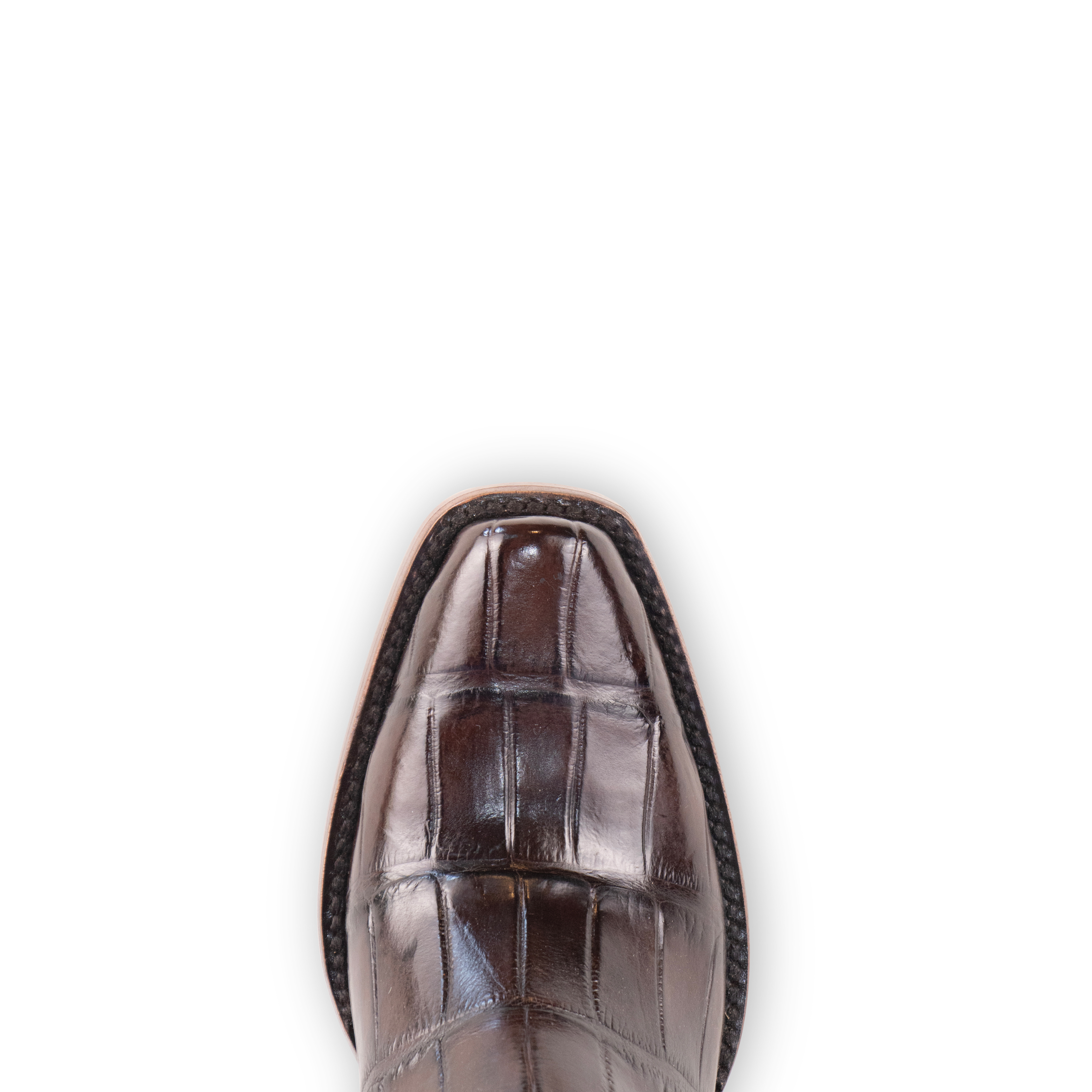 Alligator Brown - Cutter Toe