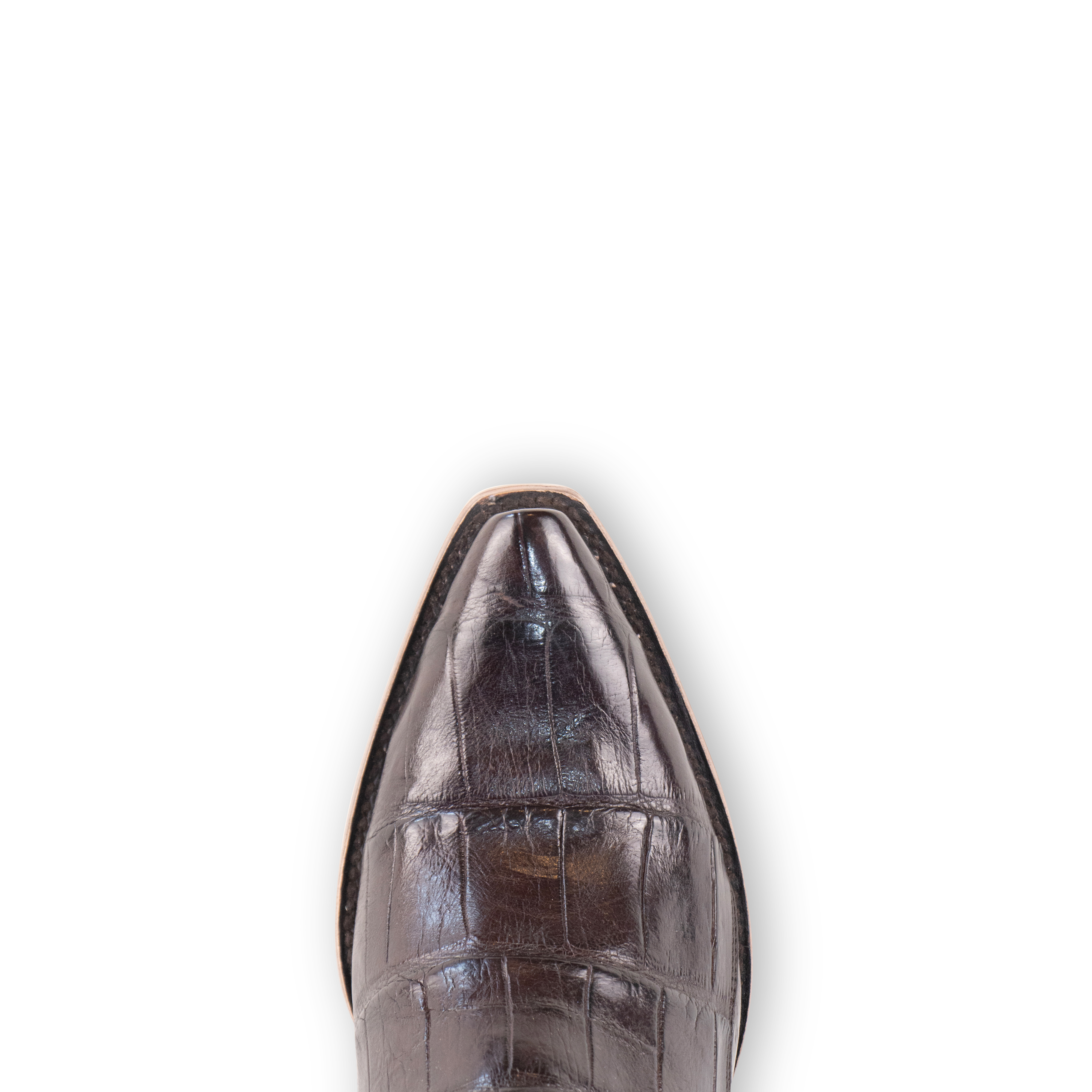 Alligator Brown - Pointed Toe