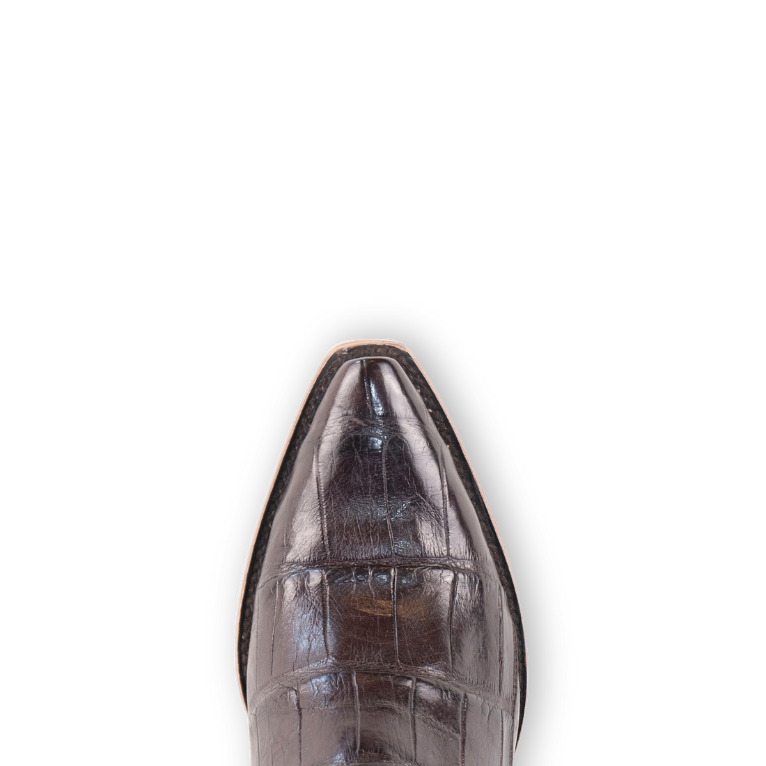Alligator Brown - Pointed Toe