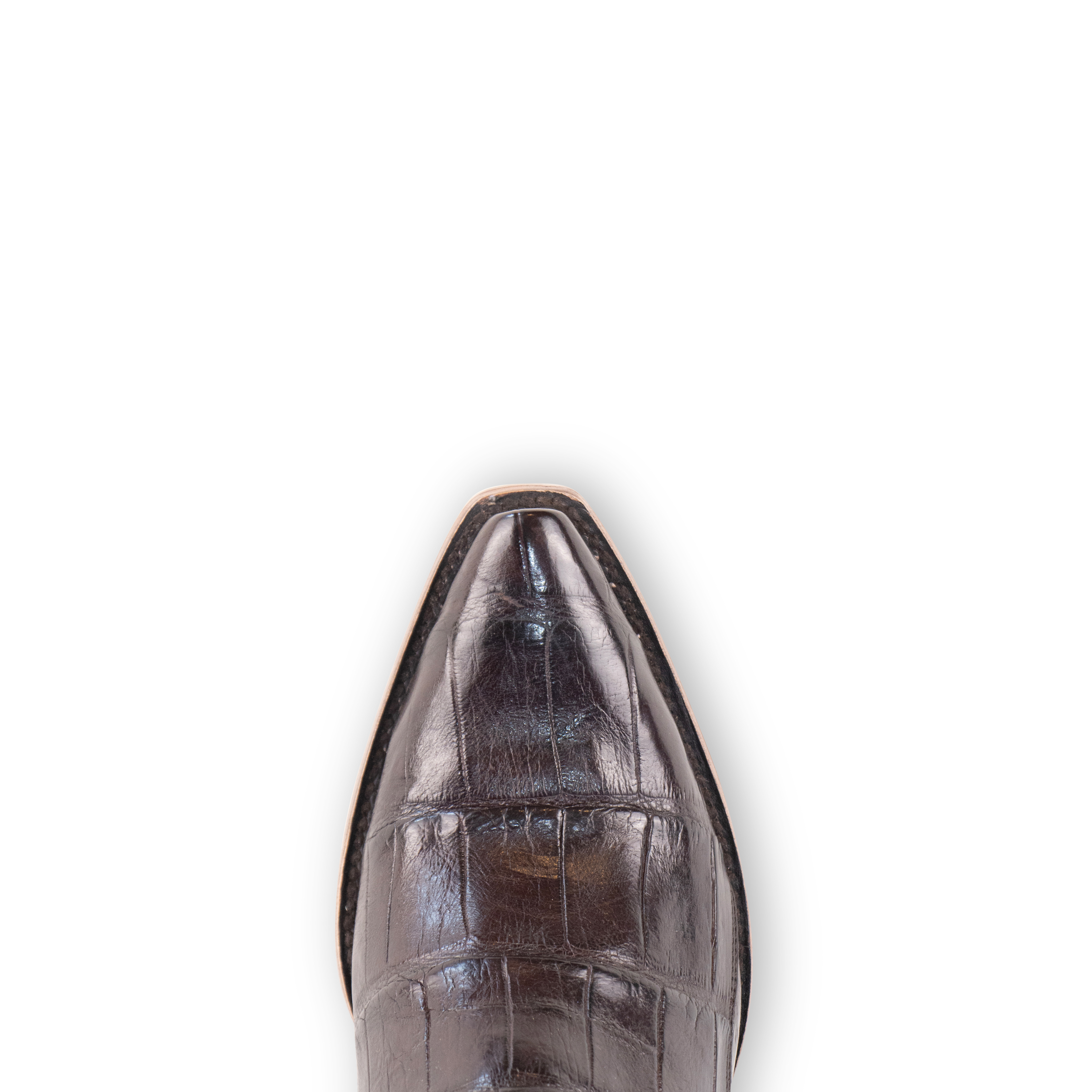 Alligator Brown - Pointed Toe