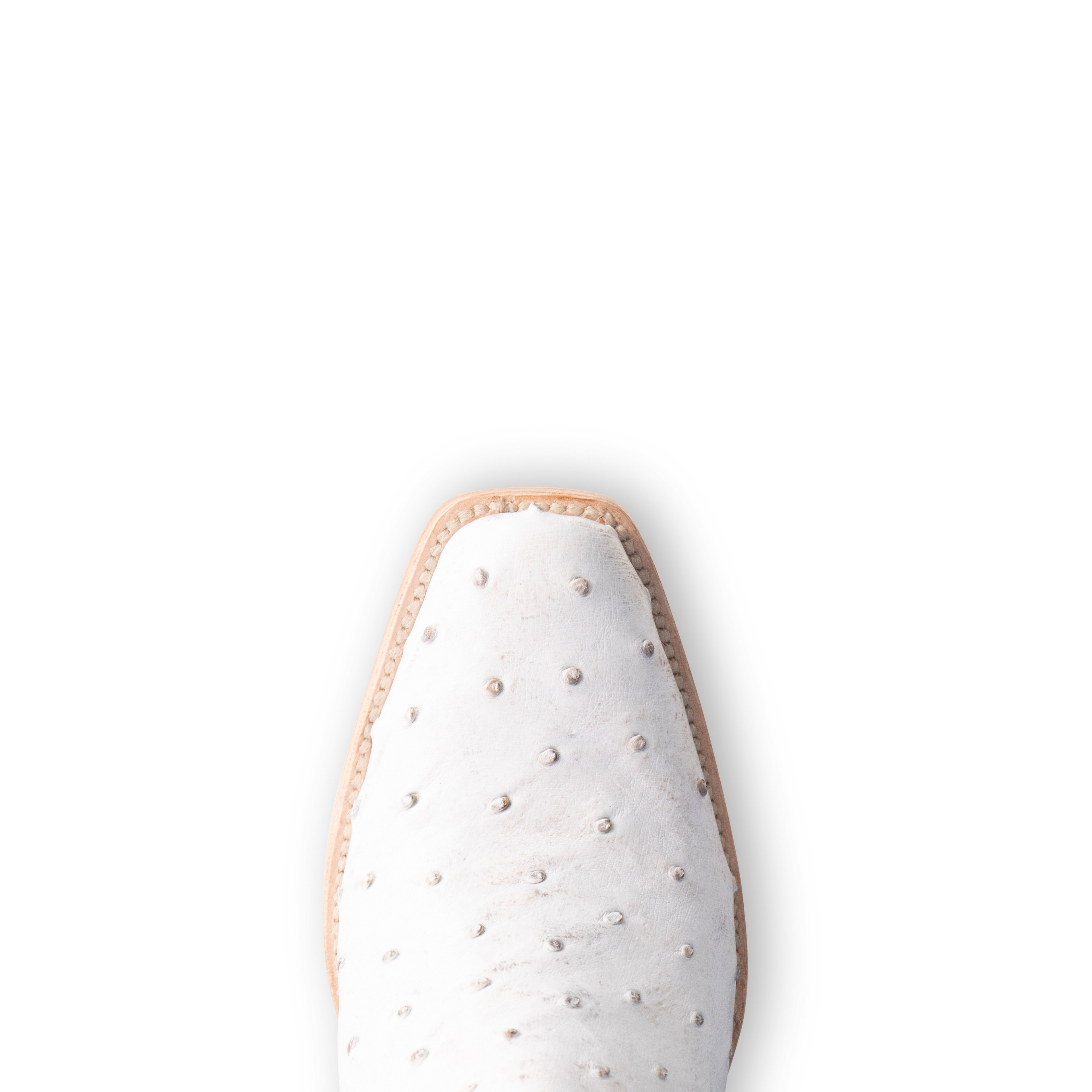 Full Quill Ostrich Bone - Cutter Toe