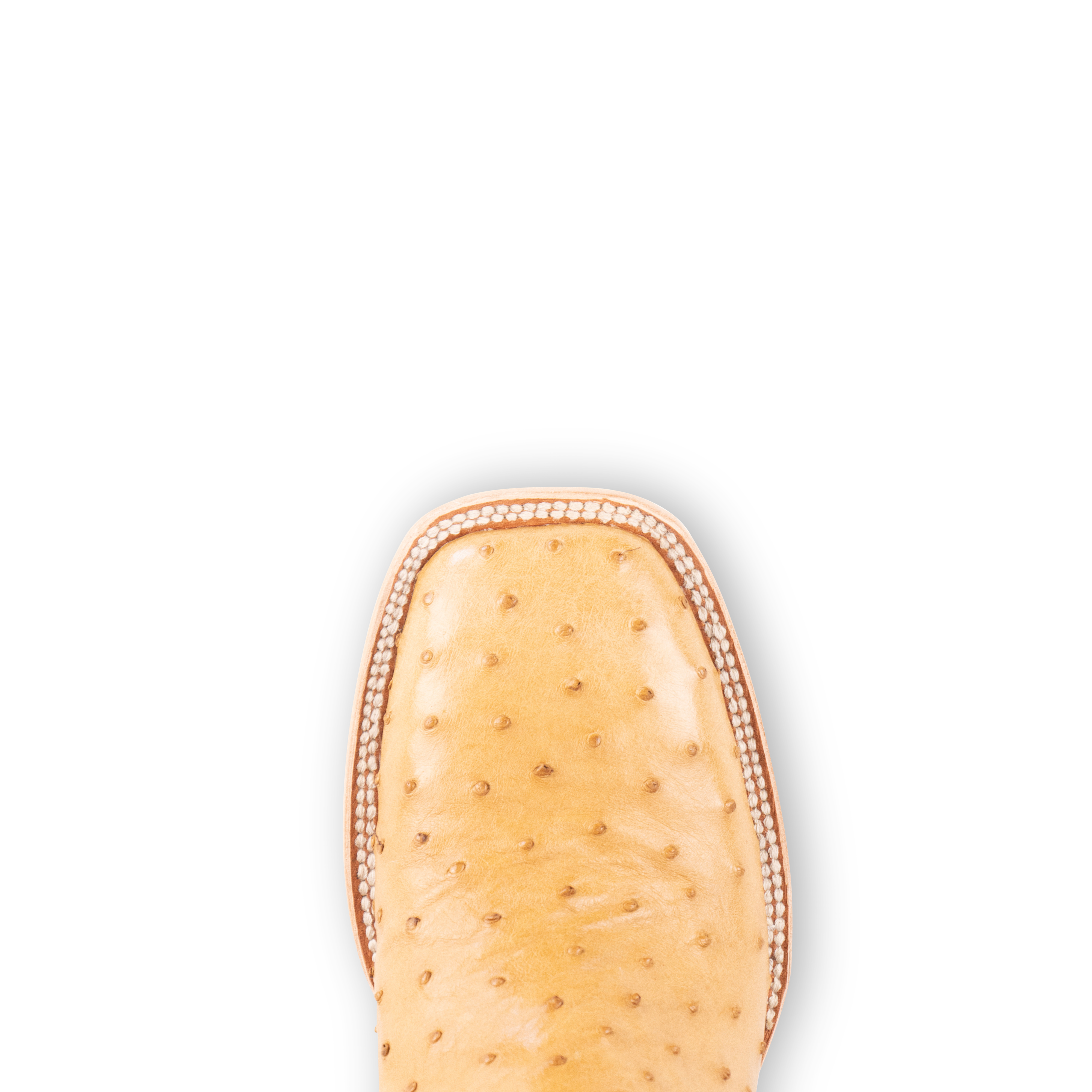 Full Quill Ostrich Saddle Tan - Square Toe