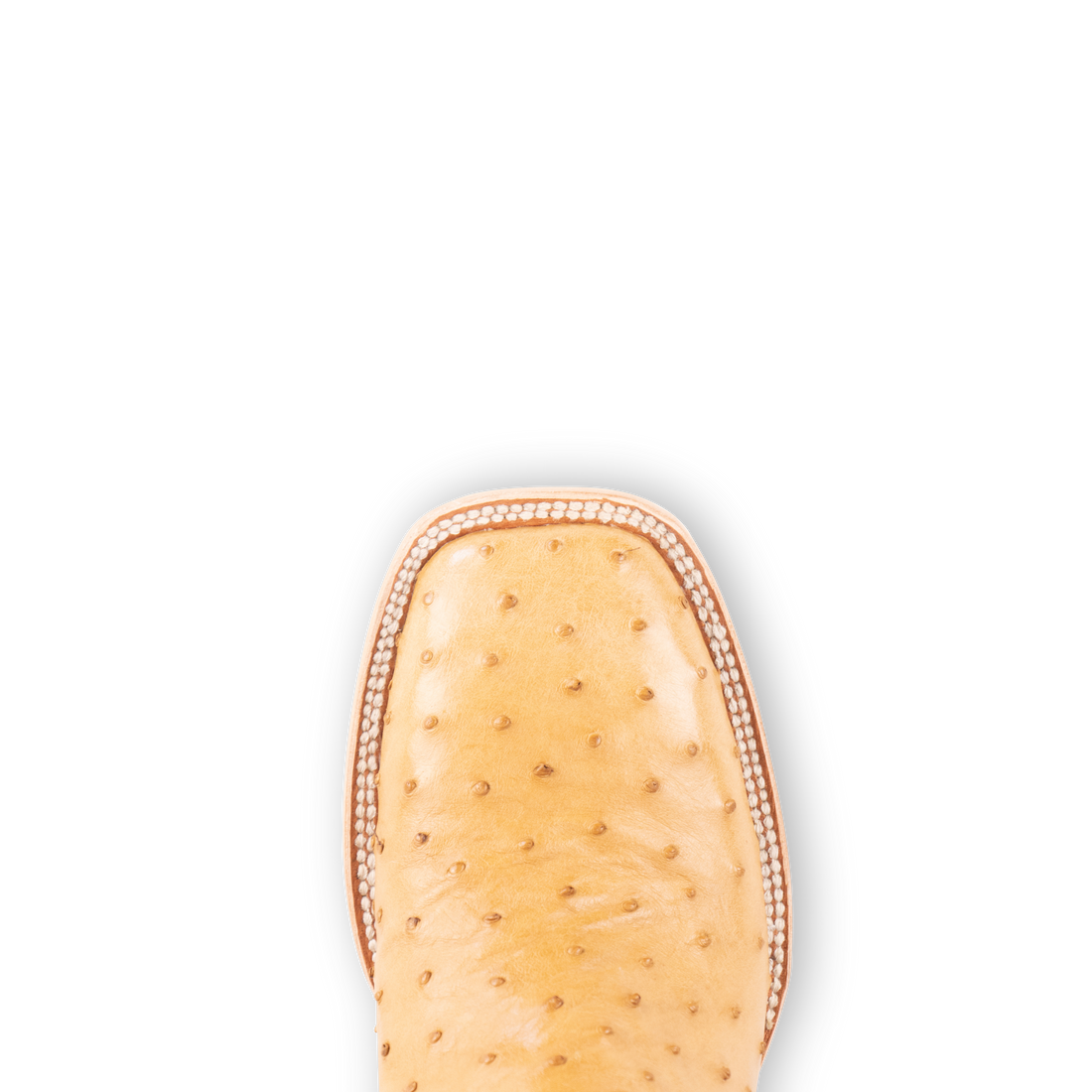 Full Quill Ostrich Saddle Tan - Square Toe