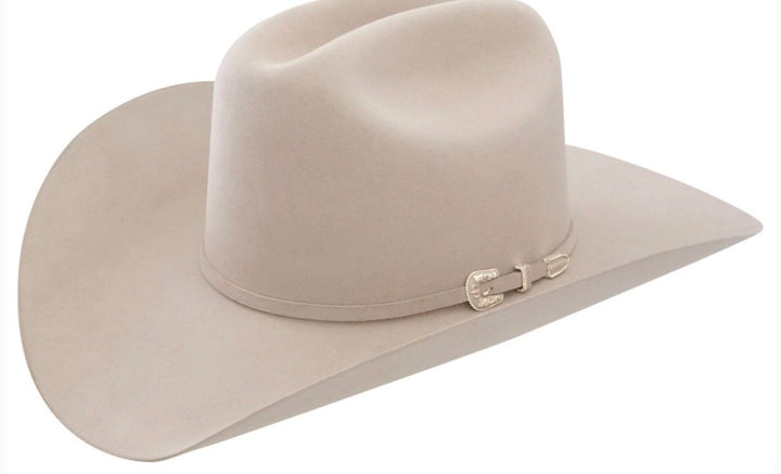 Stetson Skyline Silverbelly