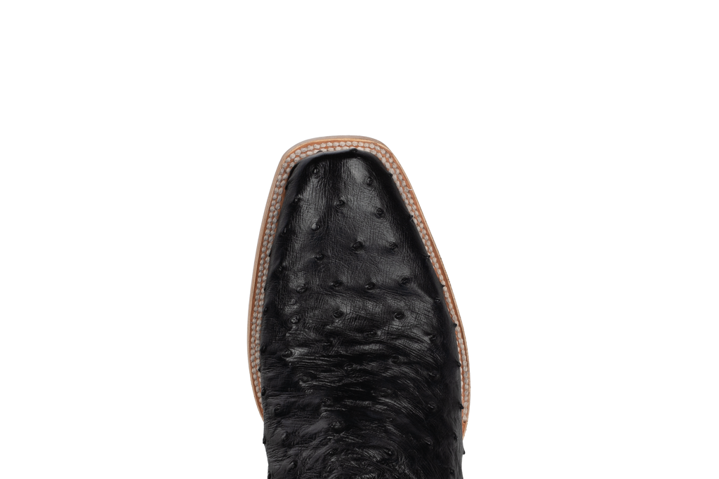 Full Quill Ostrich Black - Cutter Toe