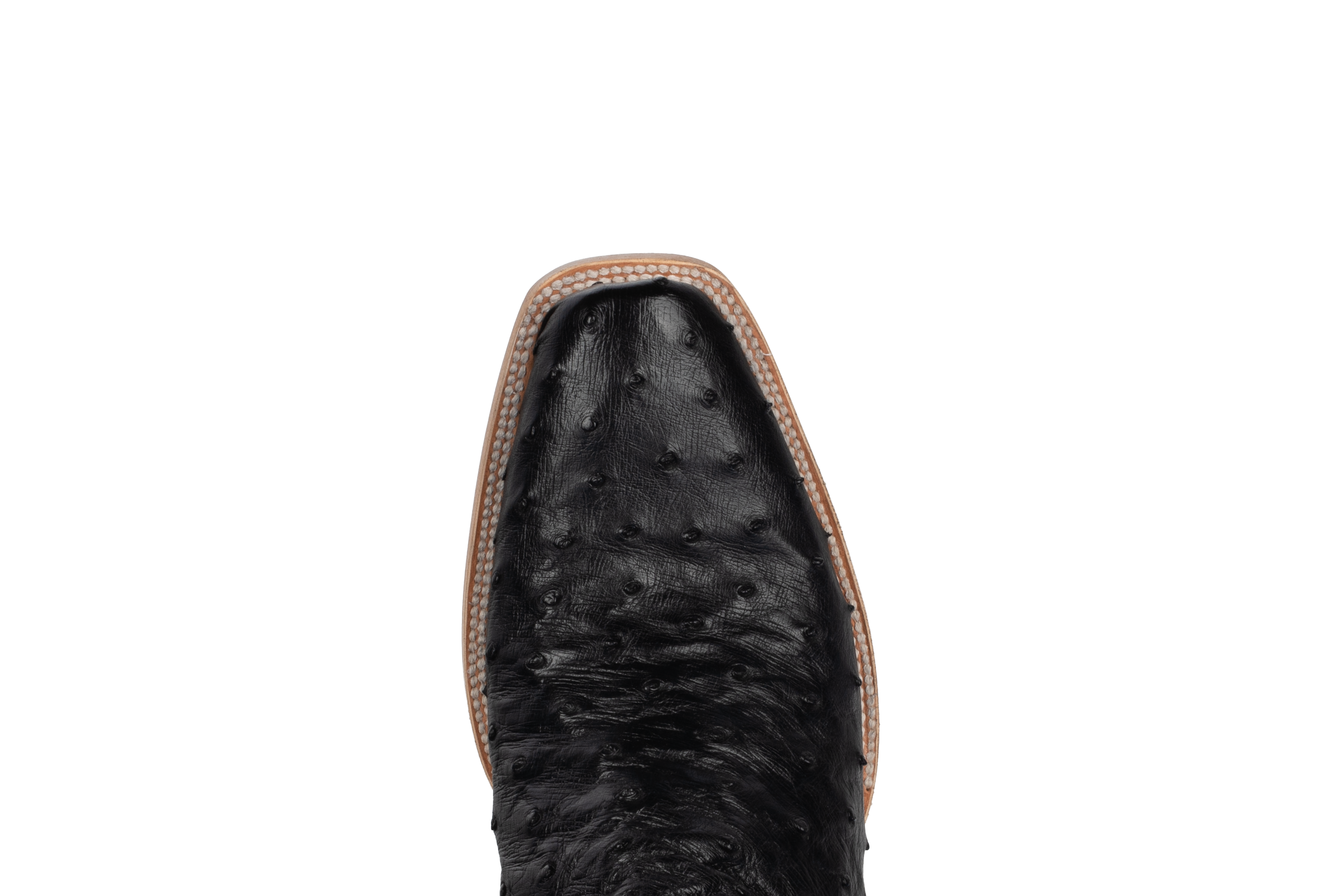 Full Quill Ostrich Black - Cutter Toe