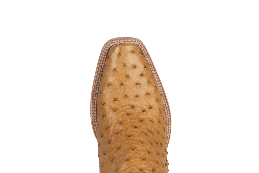 Full Quill Ostrich Saddle Tan - Cutter Toe