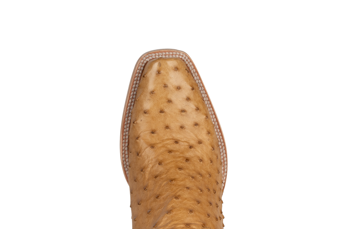 Resistol Boots Full Quill Ostrich Saddle Tan - Cutter Toe
