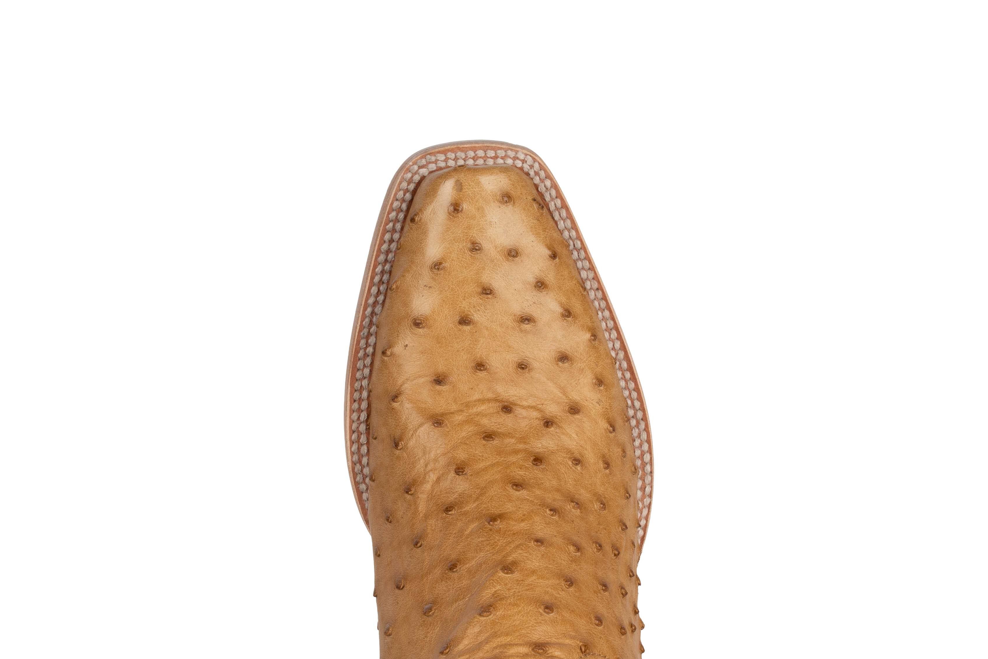 Full Quill Ostrich Saddle Tan - Cutter Toe