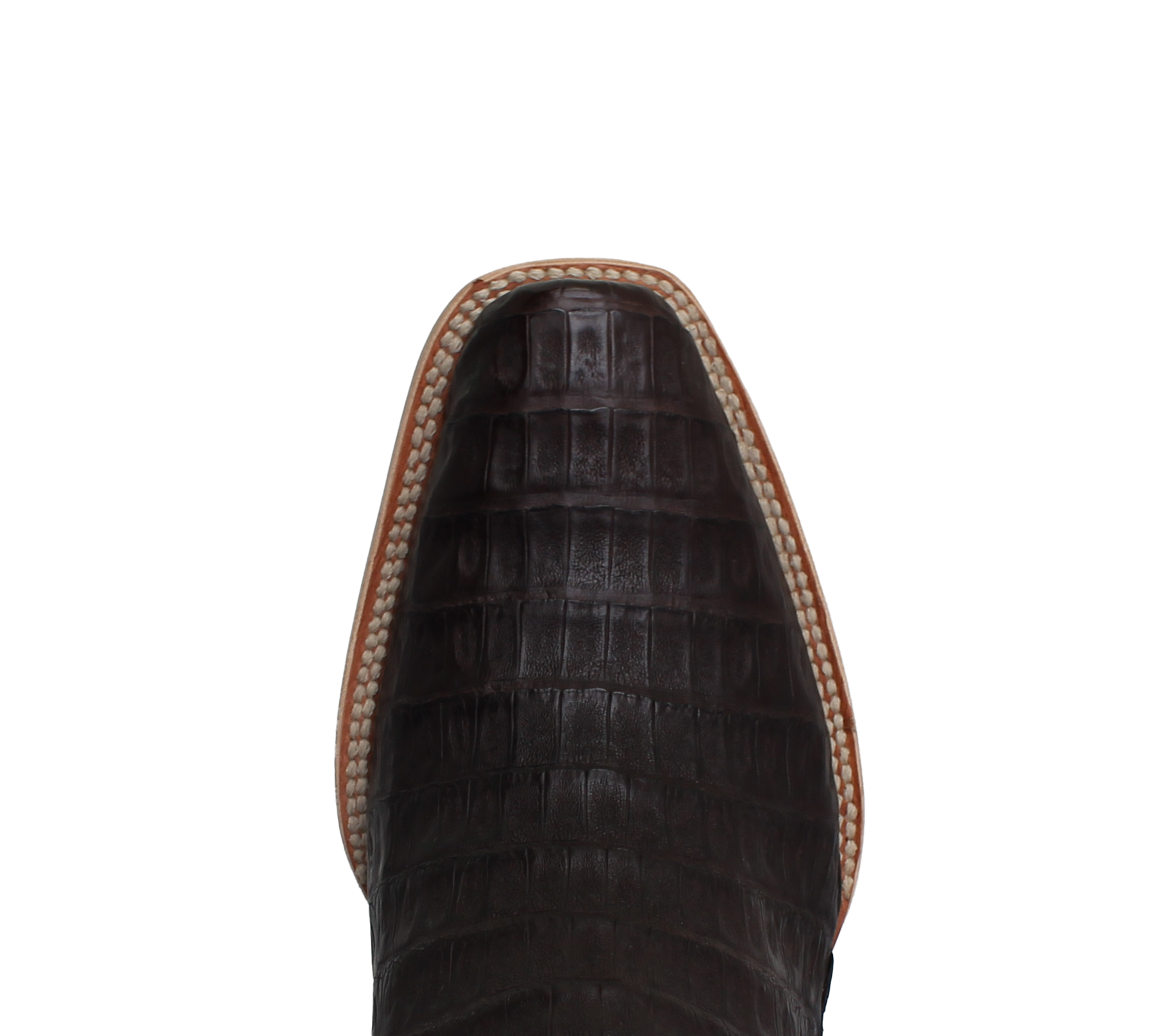 Caiman Chocolate - Cutter Toe