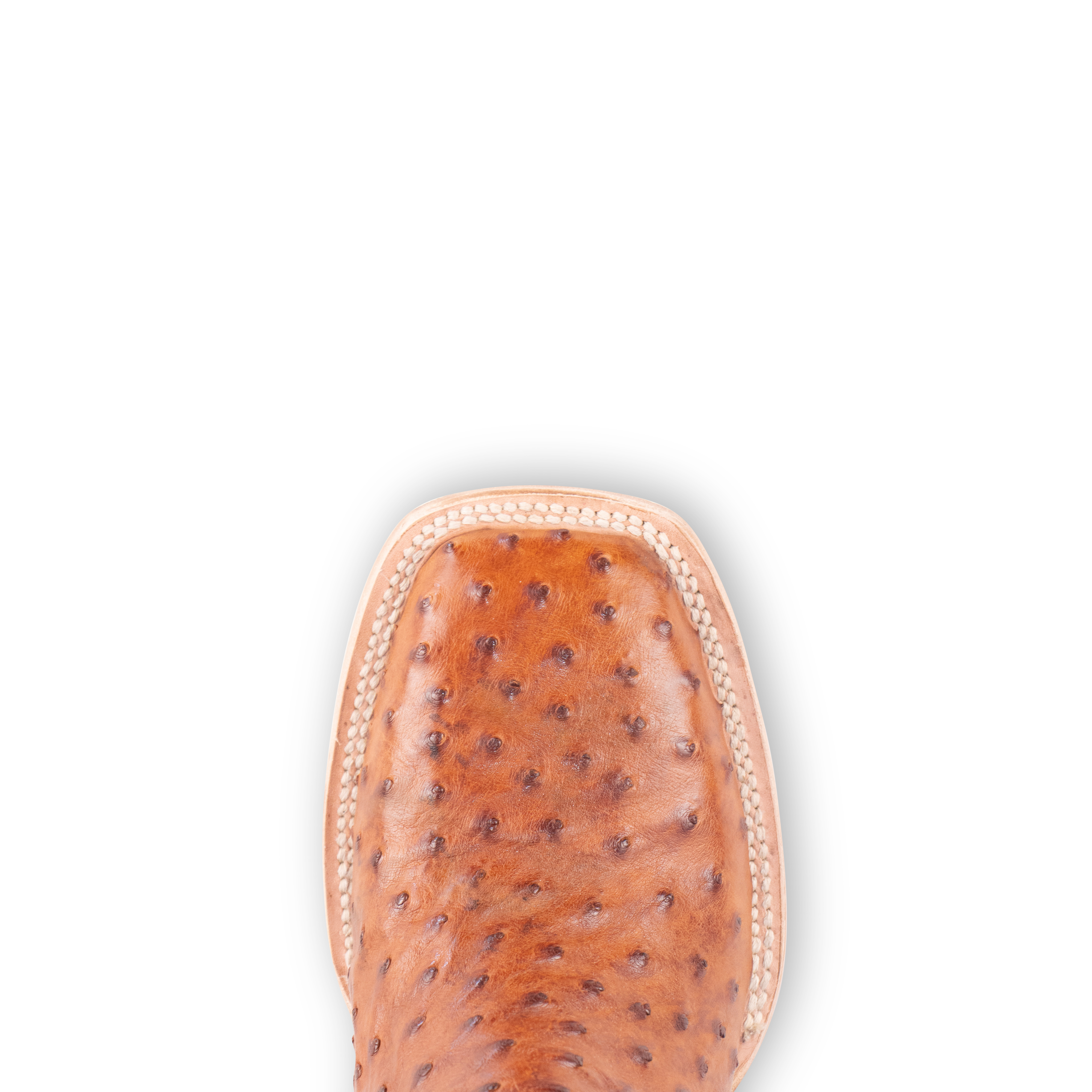 Full Quill Ostrich Cognac - Square Toe