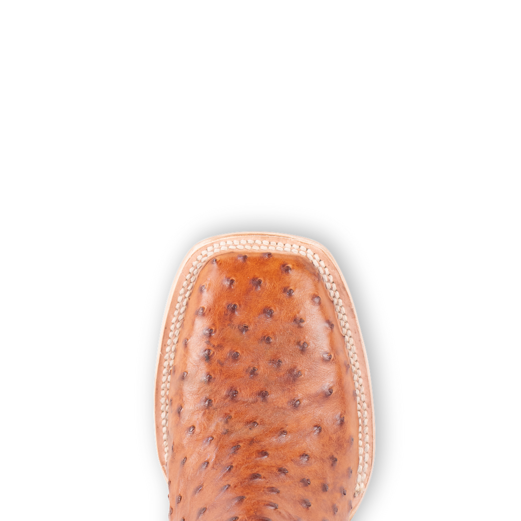Full Quill Ostrich Cognac - Square Toe