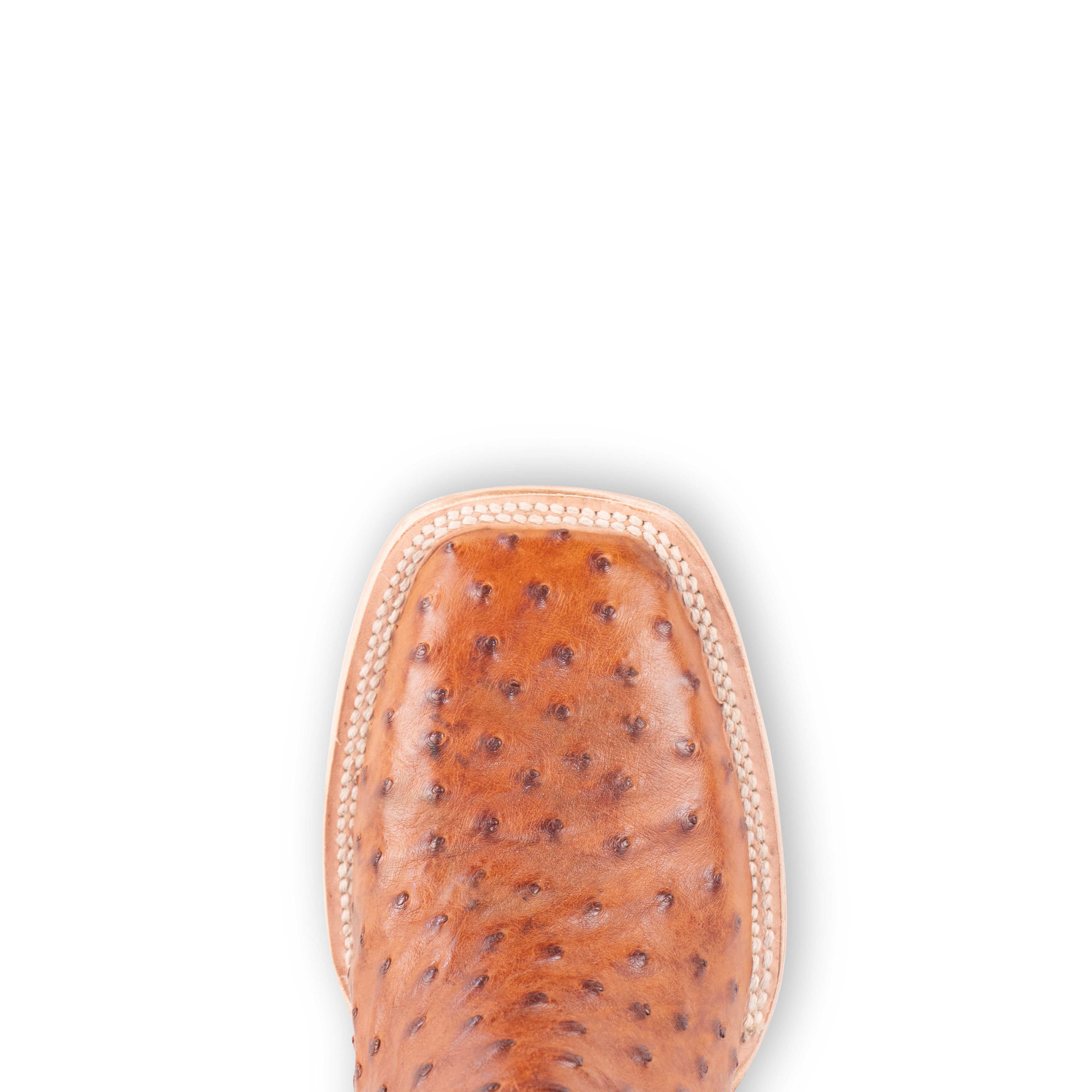 Full Quill Ostrich Cognac - Square Toe