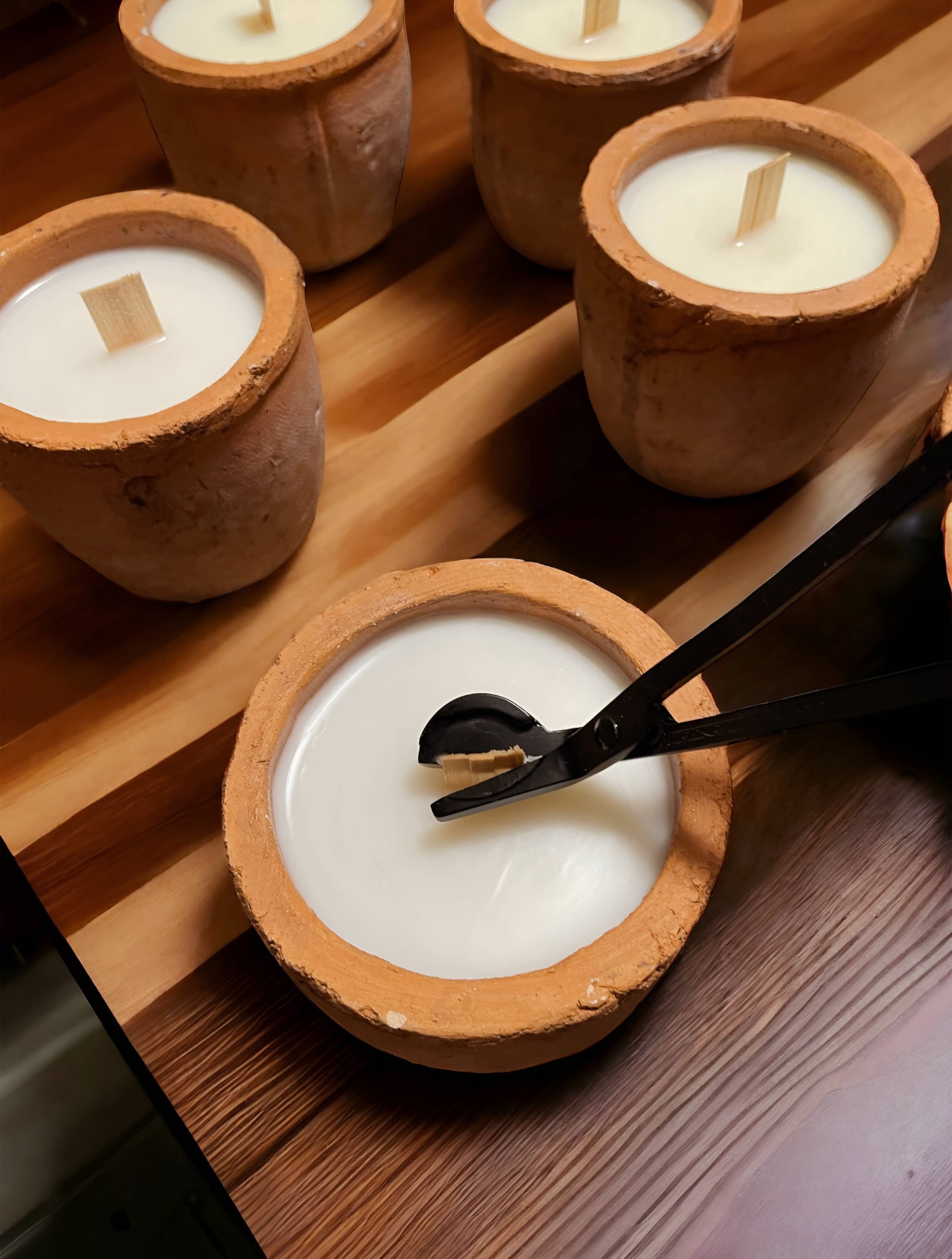 12 oz Plant Pot Scented Candle, Terra cotta pot, Seed Label: Flourish