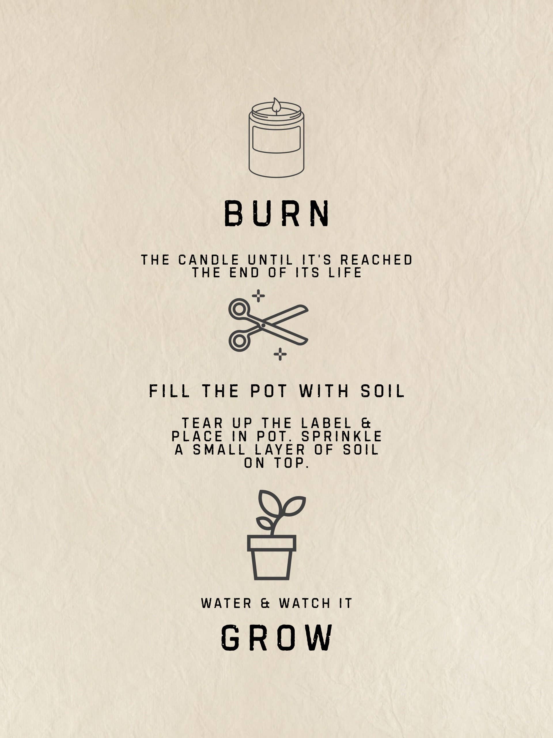 12 oz Plant Pot Scented Candle, Terra cotta pot, Seed Label: Flourish