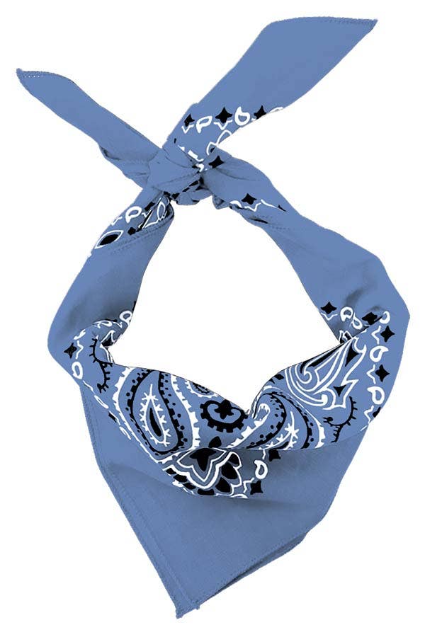 Bandanna - 22" MADE IN USA - Chambray Paisley