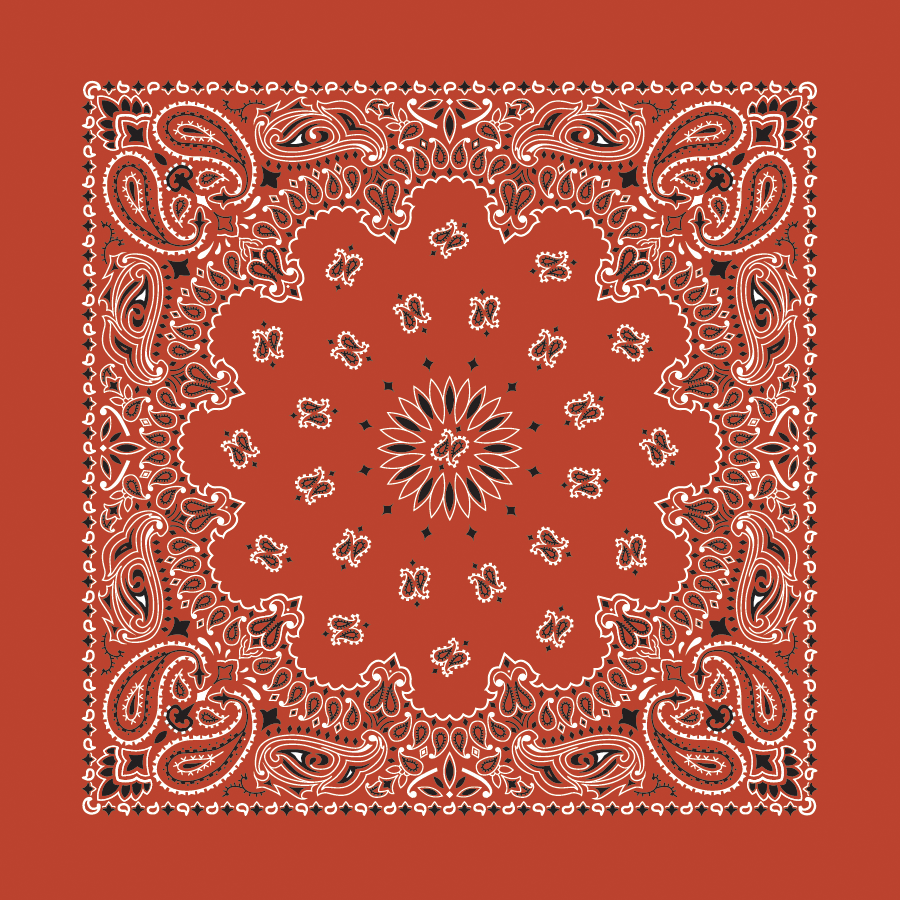 Bandanna - 22" MADE IN USA - Terracotta Paisley