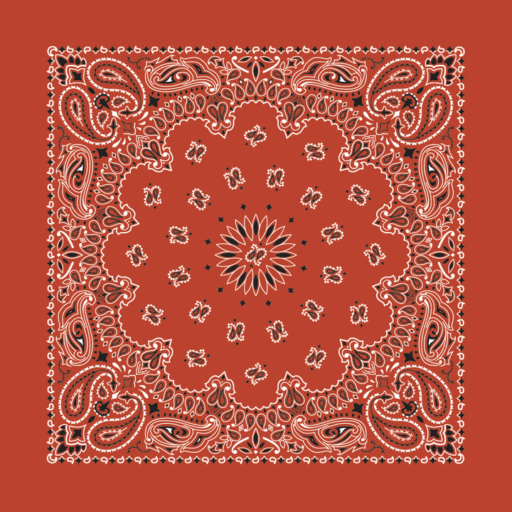 Bandanna - 22" MADE IN USA - Terracotta Paisley