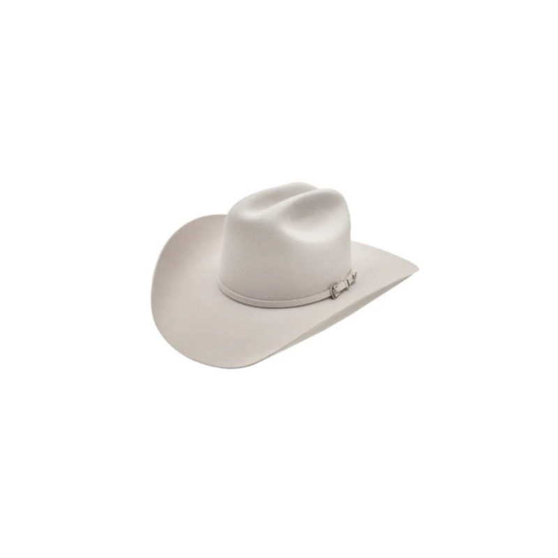 Stetson Skyline